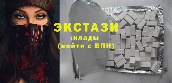 мдпв Бородино