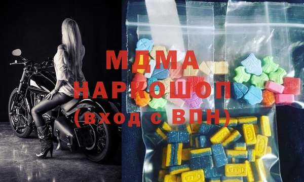 мдпв Бородино
