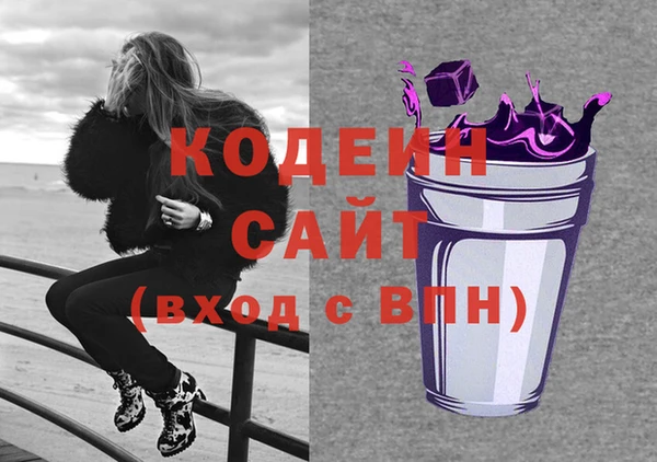 мдпв Бородино