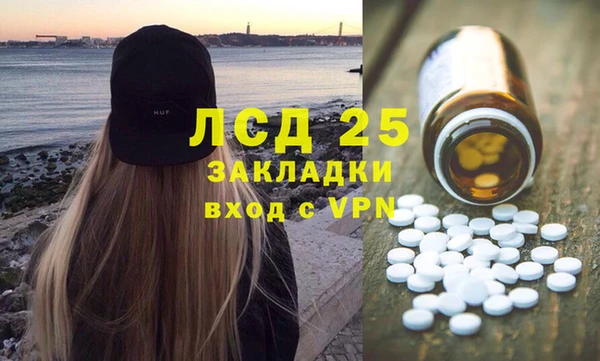мдпв Бородино