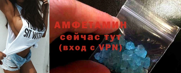 мдпв Бородино
