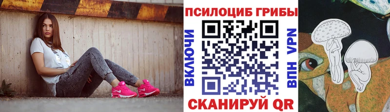 Псилоцибиновые грибы MAGIC MUSHROOMS  kraken tor  Выборг  хочу наркоту 