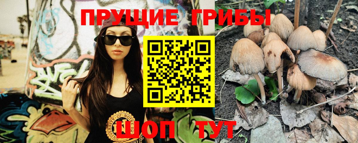 Галлюциногенные грибы прущие грибы Выборг