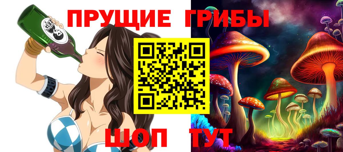 Галлюциногенные грибы GOLDEN TEACHER  Вход с VPN  Выборг 