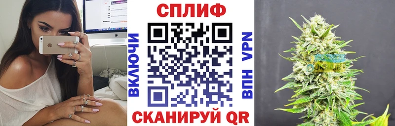 Бошки Шишки тримм  как найти закладки  Выборг 